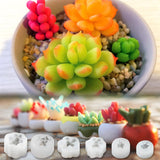 6Pcs Succulent Cactus Silicone Mold,3D Cactus Casting Molds for Resin,DIY Candle,Wax,Soap,Clay ,Cake Decorating, Fondant,Chocolate